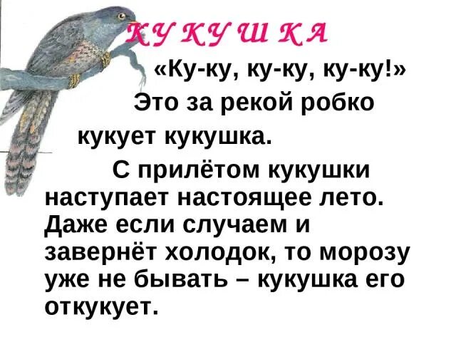 Ты кукуй кукушка все равно. Кукушка кукует ку ку ку. Статусы про матерей кукушек. Ты Кукушка. Кукушка ты Кукуй Кукушка.