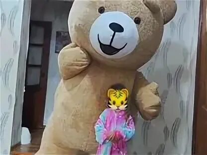 Услуга мишка мишка поздравляет