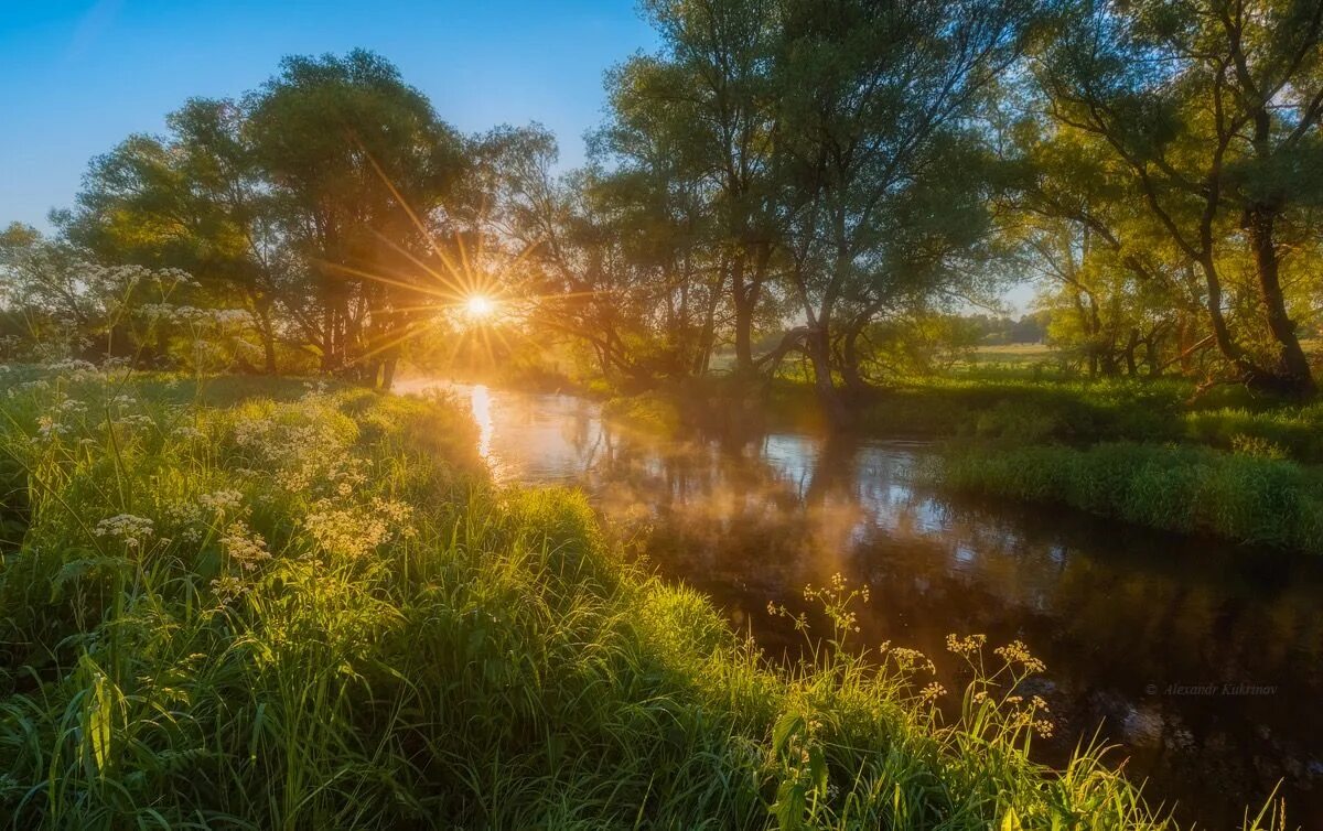 Раннее летнее утро. Природа солнце. Утро природа. Солнечный пейзаж. Красивые пейзажи добрым утром картинки