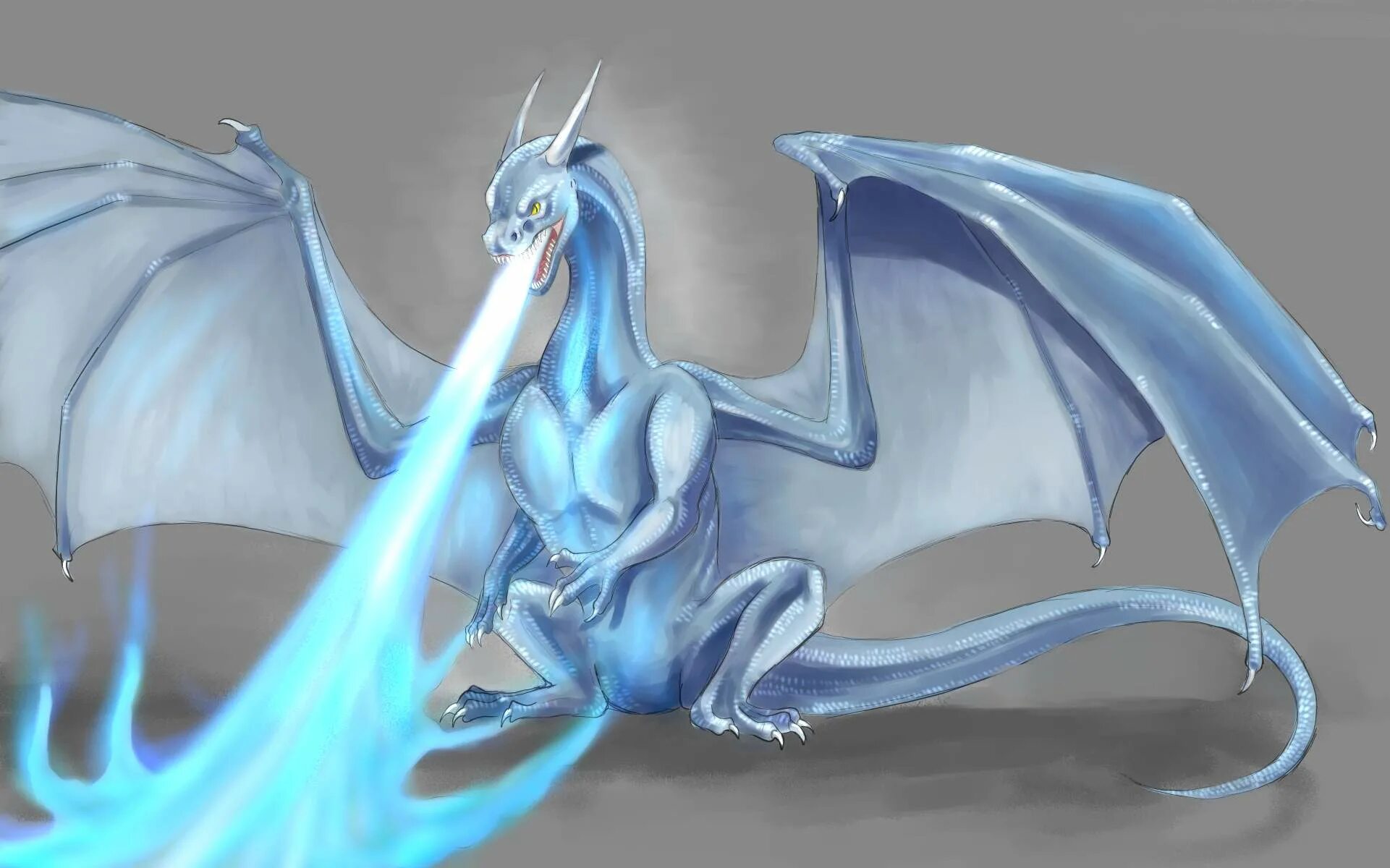 швеция драконы. хроники нарнии покоритель зари дракон. швеция драконы. алая виверна. шведский короткорылый дракон.