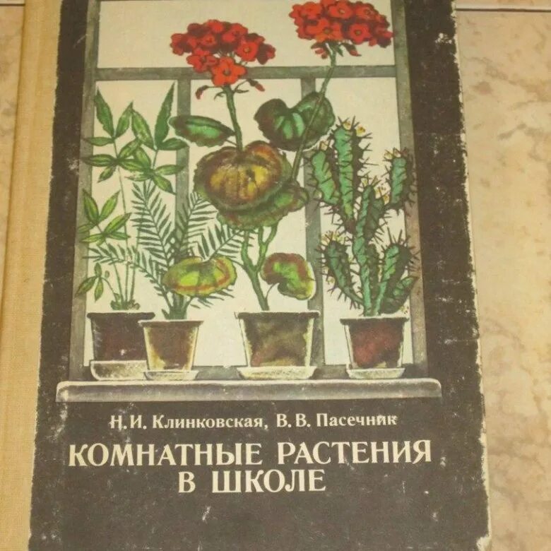 Клиновская Пасечник комнатные растения в школе. Советские комнатные растения. Комнатные растения в советских школах. Комнатные растения книга Советская. Цветы советских времен