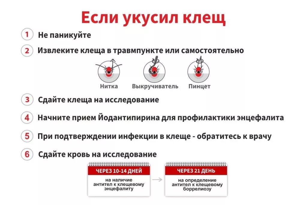 На какой день можно сдавать. Исследования крови после укуса клеща. после укуса клеща какие анализы нужно сдать. анализ крови после укуса клеща когда сдавать. анализ после укуса клеща.