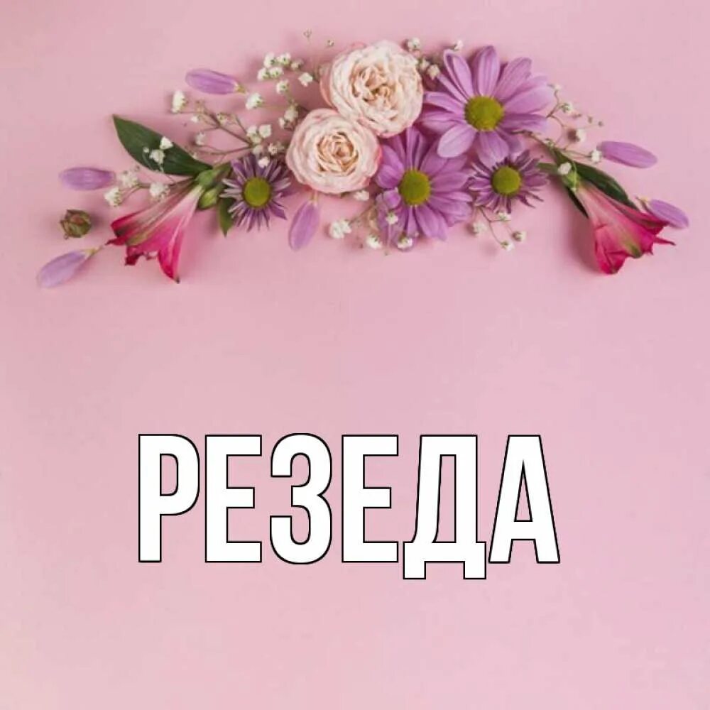 Открытки с именем Резеда. С днём рождения Резеда. Резеда с днем рождения картинки. Резеда надпись. Открытки с днем резеда