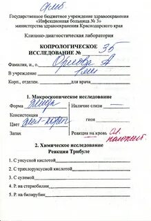 Странный анализ кала на копрограмму - Вопрос педиатру - 03 Онлайн