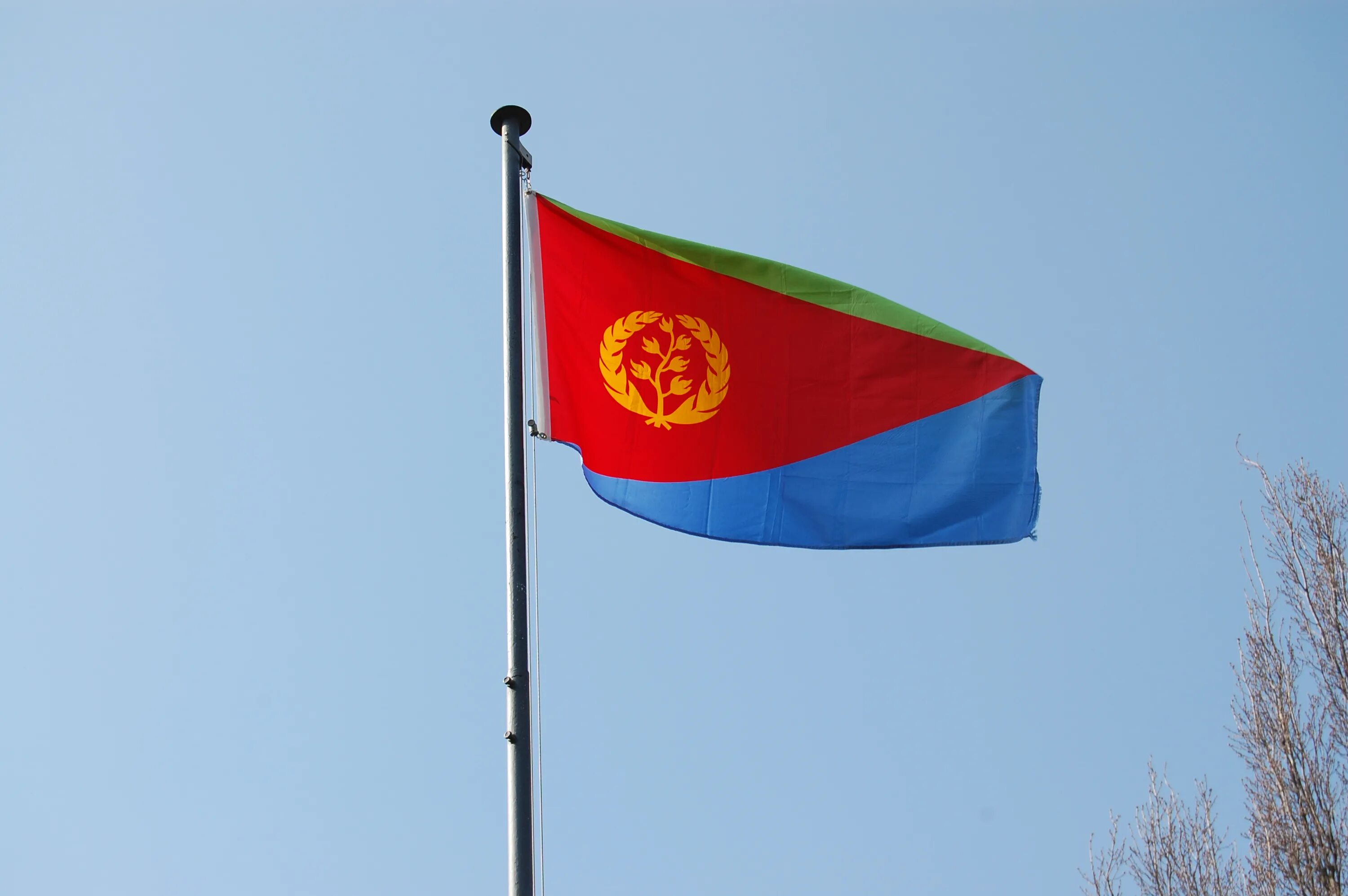 Эритрея флаг. Флаг эритреи. eritrea флаг. флаг уна. эритрея страна флаг.