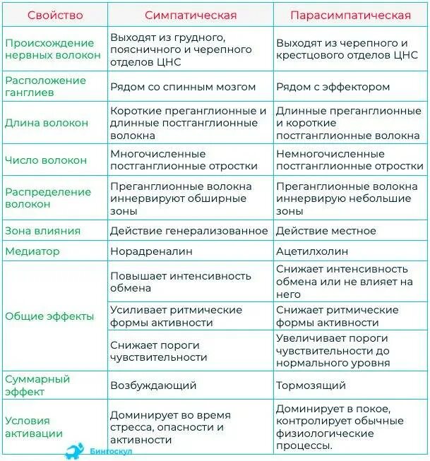 Строение отделов вегетативной нервной системы таблица. Сравнение симпатической и парасимпатической нервной системы таблица. Характеристика отдела вегетативной нервной системы таблица. Симпатическая и парасимпатическая нервная система таблица.