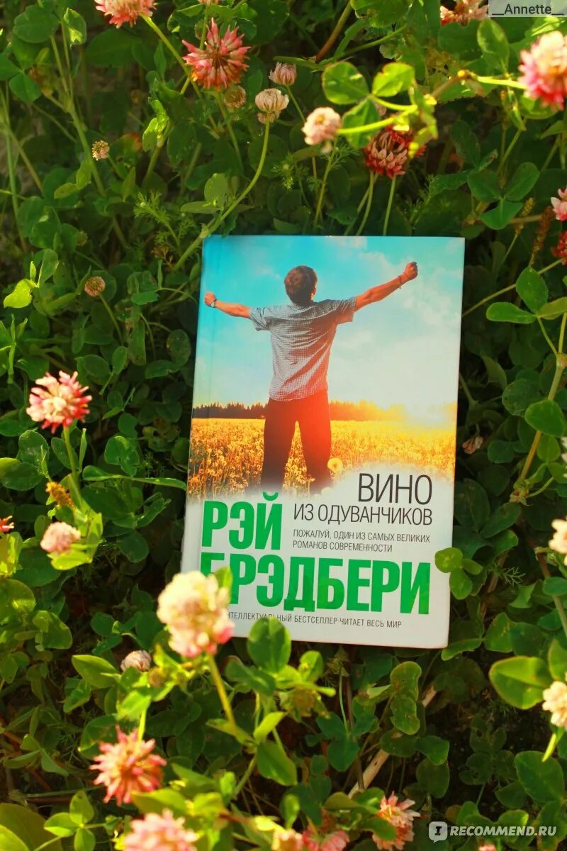 Книга вино из одуванчиков полностью. Вино из одуванчиков книга. вино из одуванчиков книга фото.