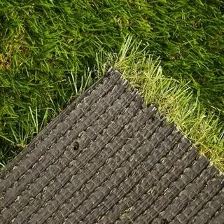 Premium grass