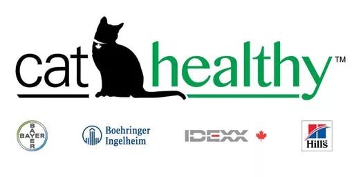 Cat friendly. Healthy cat. healthy cat бад. кэт френдли зона.