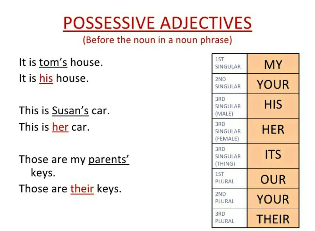 That those is her car. Possessive adjectives. Possessive adjectives таблица. Притяжательные местоимения в английском языке. Possessive pronouns.