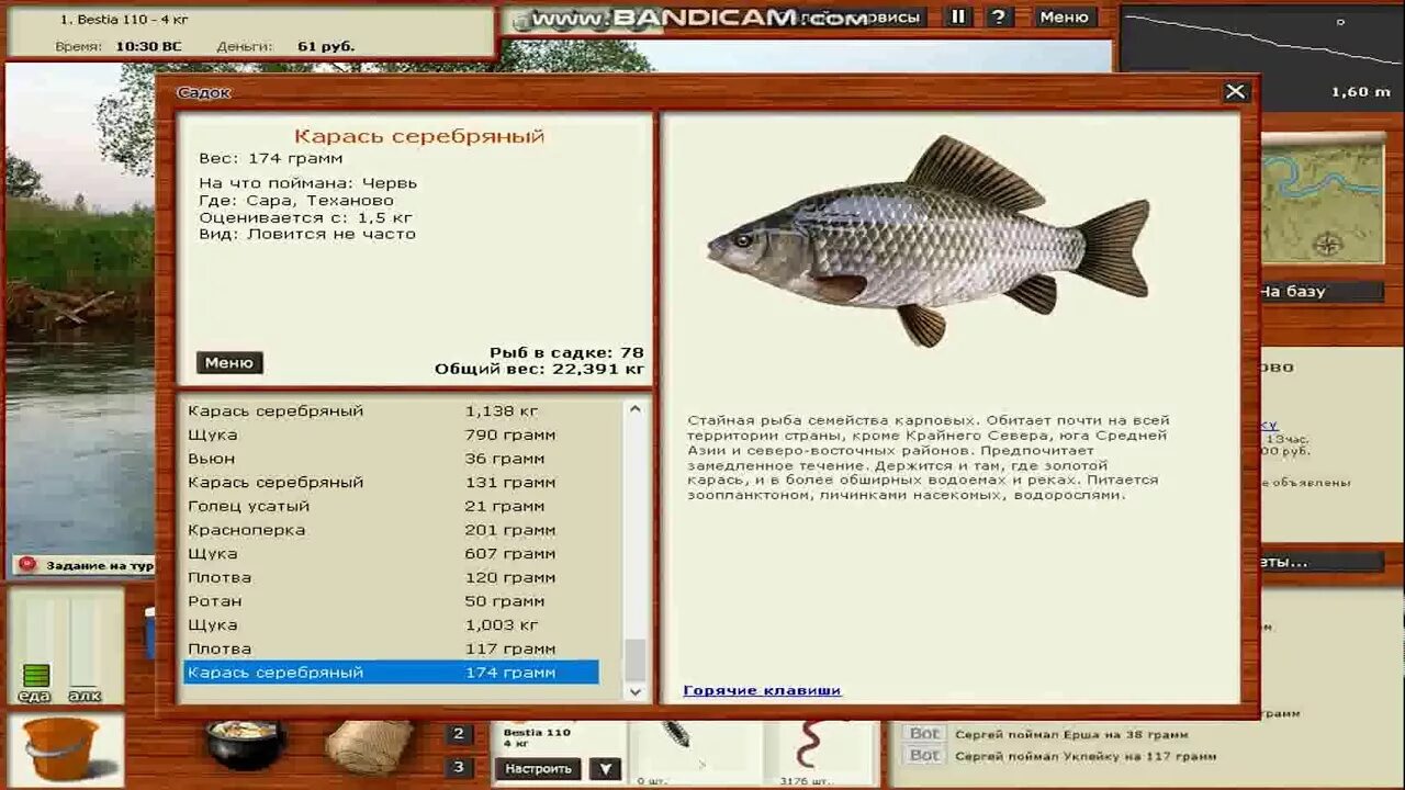 Рыбалка 3 базы. Русская рыбалка 3 карась серебряный.