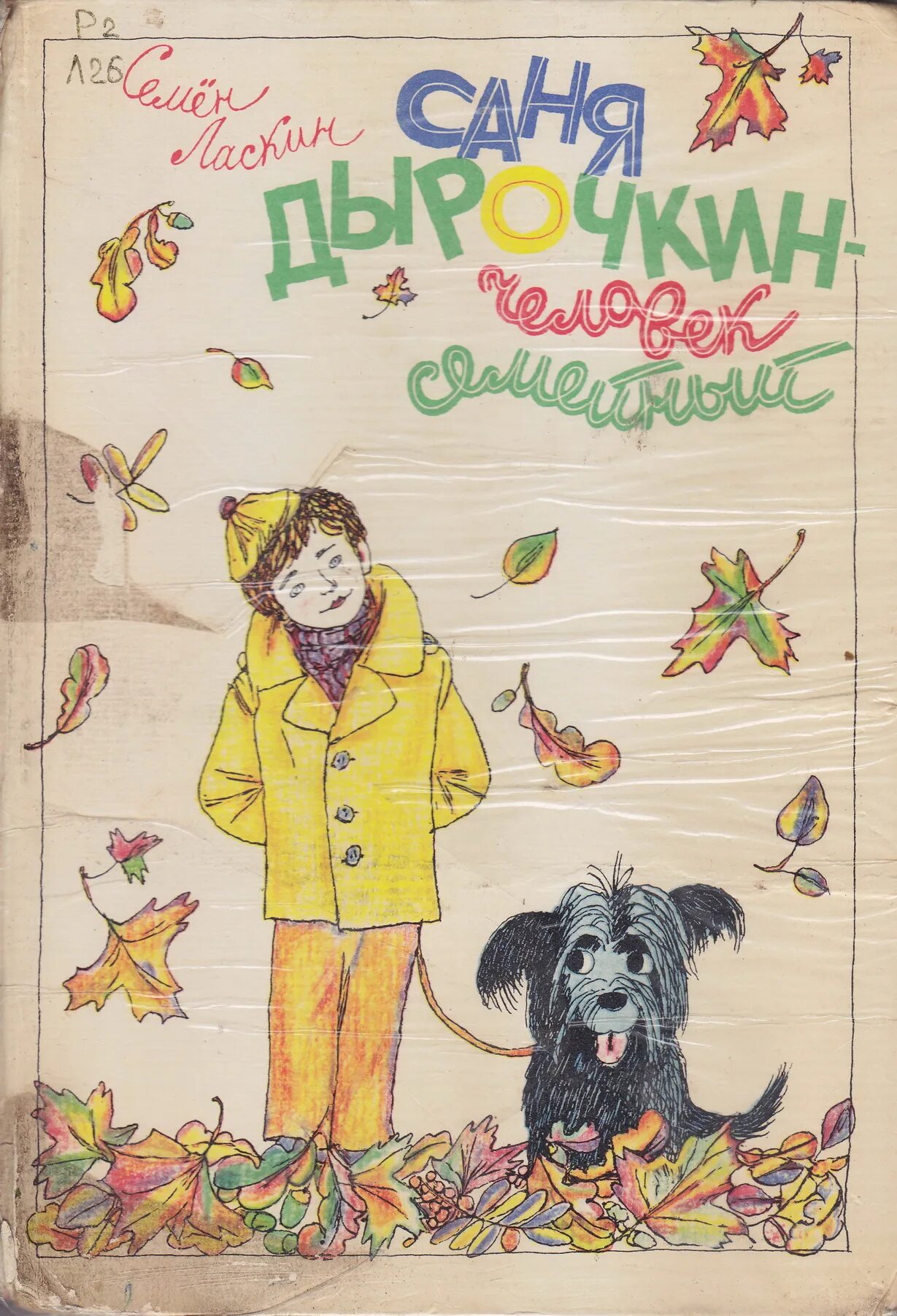 Саня дырочкин человек общественный книга. Книга про третьеклассника. Фамилия дырочкин. Ласкин «саня дырочкин — человек семейный»книга. Саня дырочкин человек.