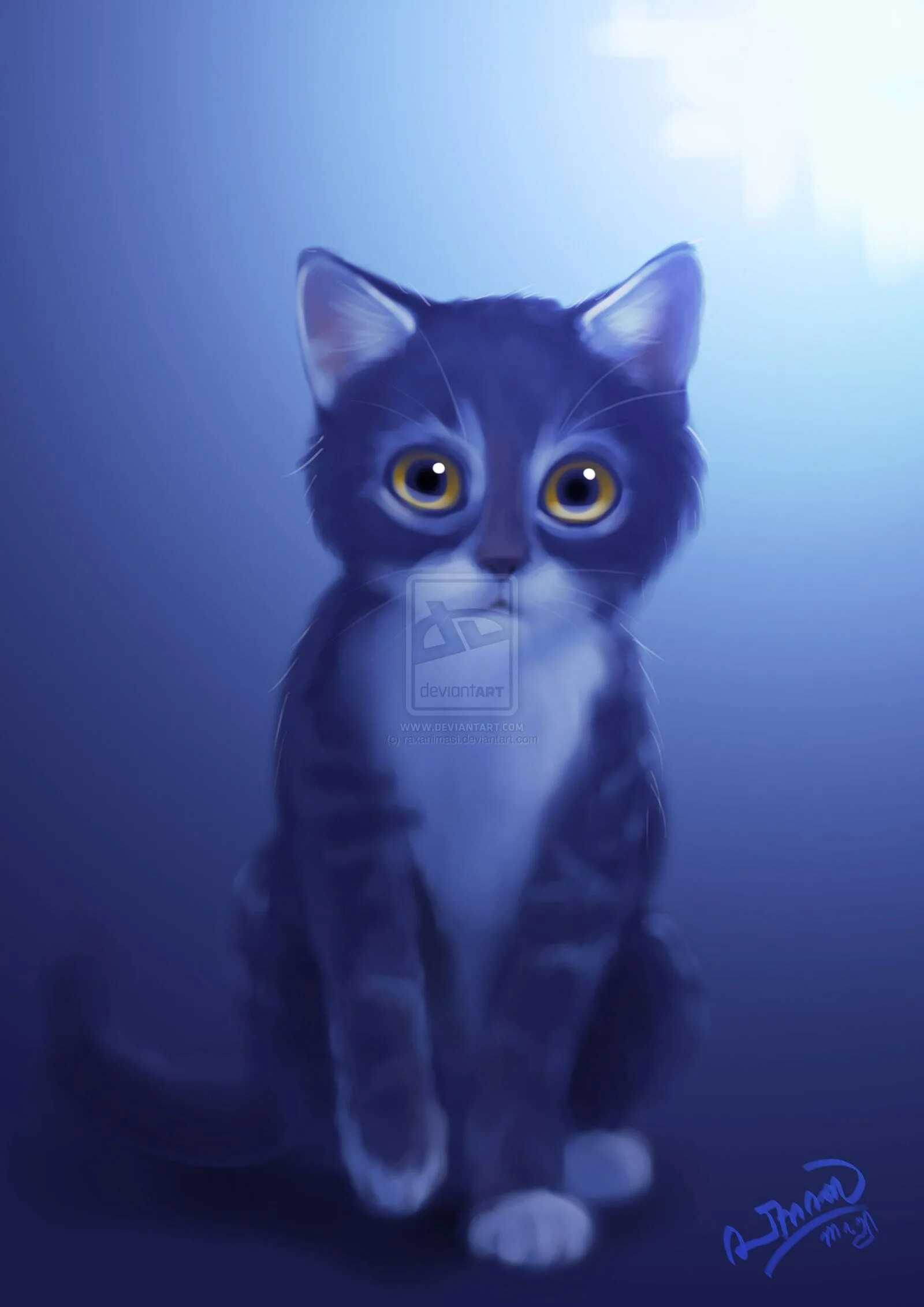 Коты синего цвета
