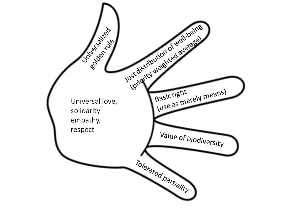 Five finger перевод на русский. Five fingers in my as. Названия пальцев на английском. Five fingers in my as. Finger reader.