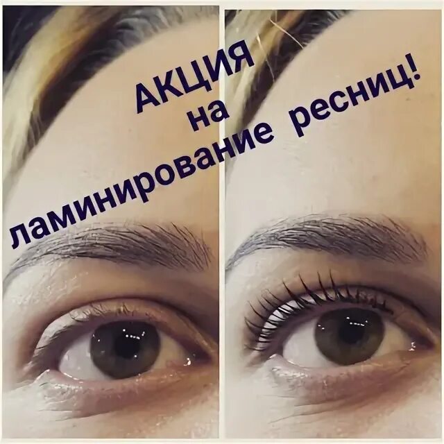 Brows московская