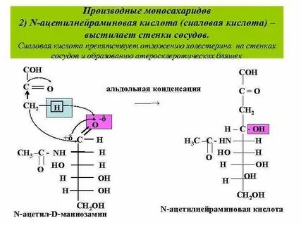 Сиаловые кислоты