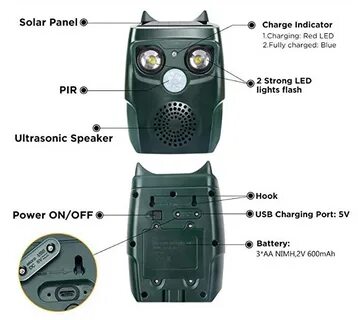 Solar animal