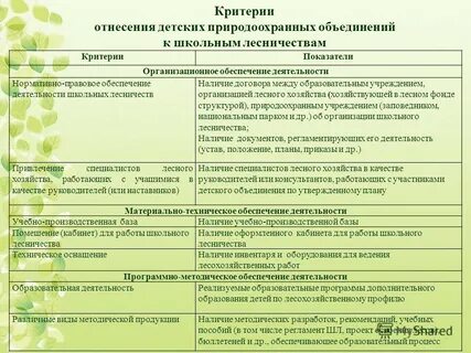 План школьного лесничества