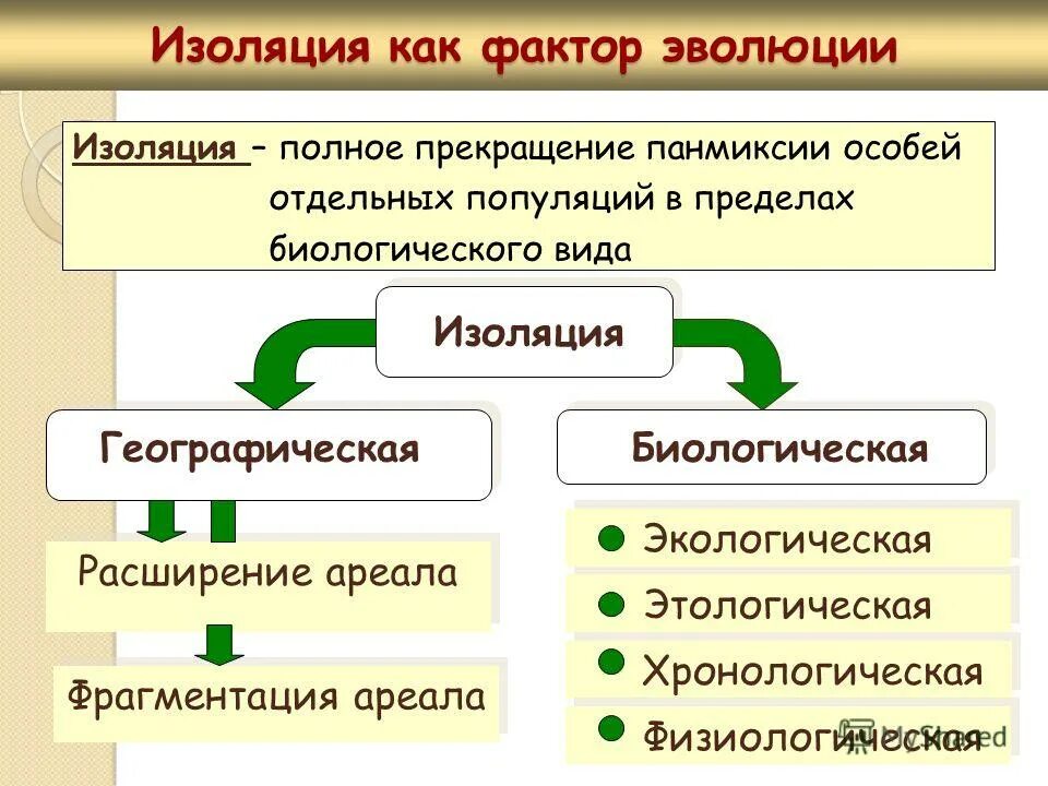 Благодаря изоляции. Факторы эволюции: изоляция схема. Типы изоляции в биологии. Изоляция как фактор эволюции. Изоляция это в биологии.