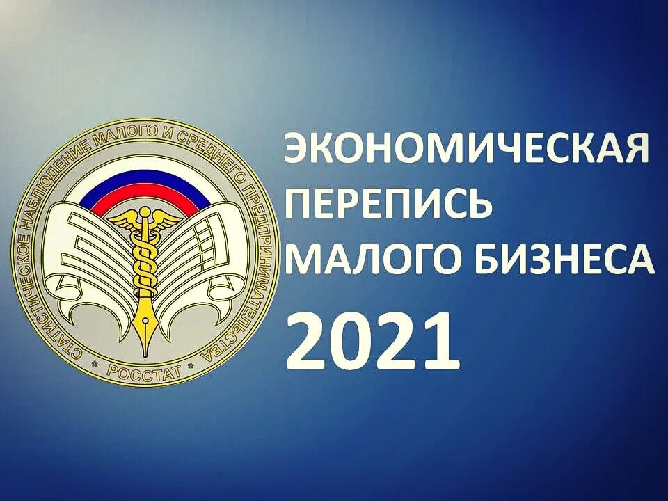 Структура малого бизнеса 2021. Малое предпринимательство 2021. Экономическая перепись малого бизнеса. Перепись малого бизнеса в 2021 году. Малое предпринимательство 2021.