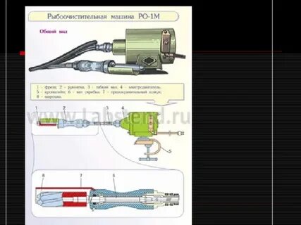 Что является рабочим органом рыбоочистительной машины