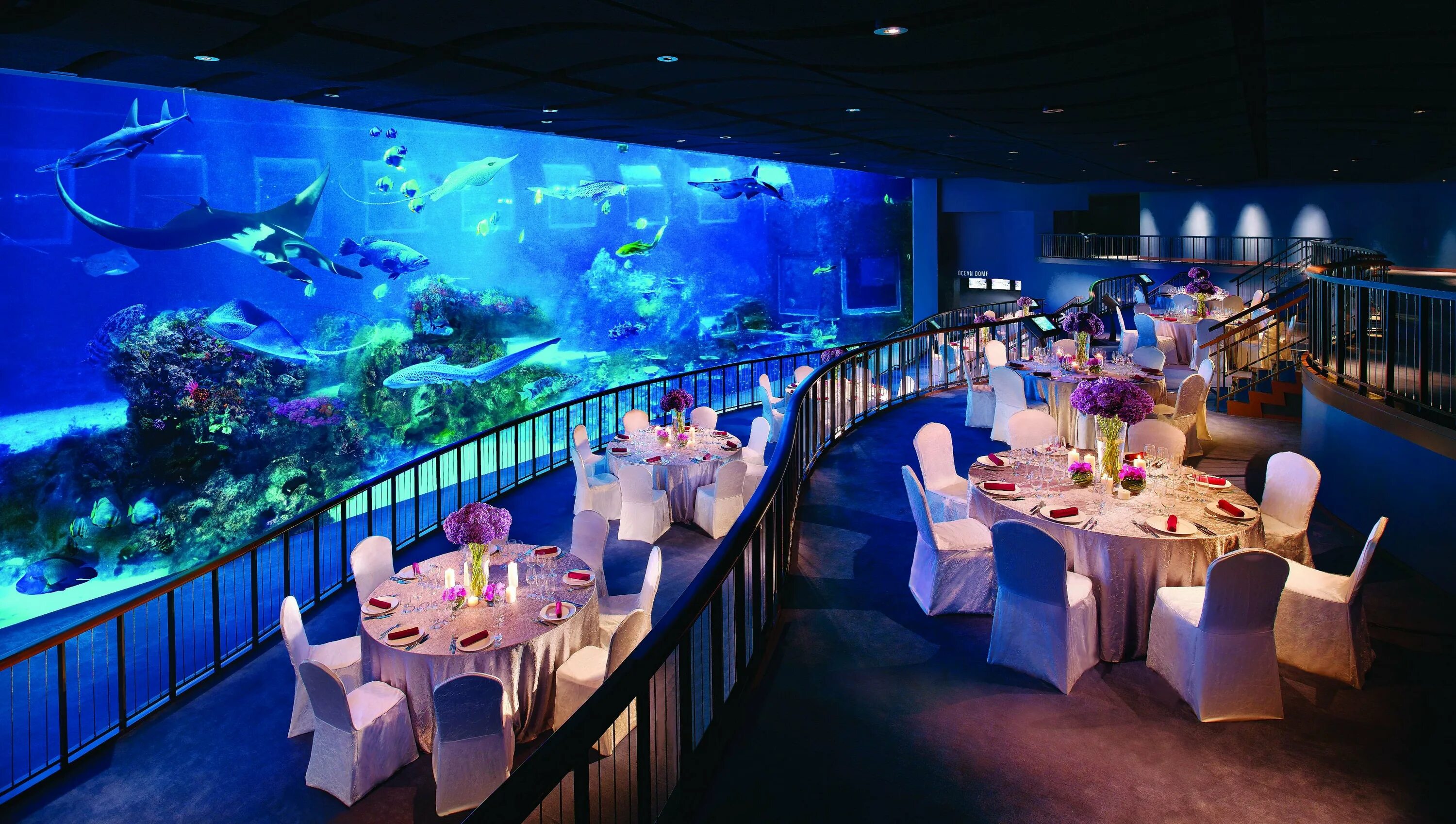 Сайт ресторана океан. Сингапур Сентоза океанариум. Resort World Sentosa, Сингапур подводный отель. Океанариум Крокус ресторан. Аквариум в ресторане.