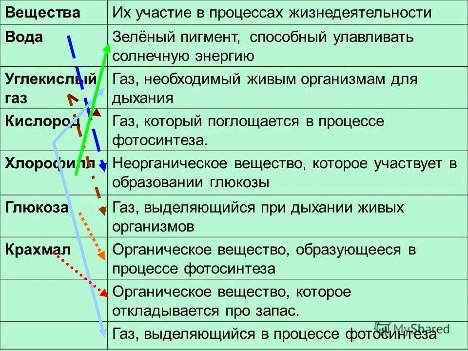 Как называется процесс жизнедеятельности растений 6 класс. Процессыжинидеятельностирамтений. Основные процессы жизнедеятельности растений. Процессы жизнедеятельности растительных организмов. Основные процессы жизнедеятельности организмов.