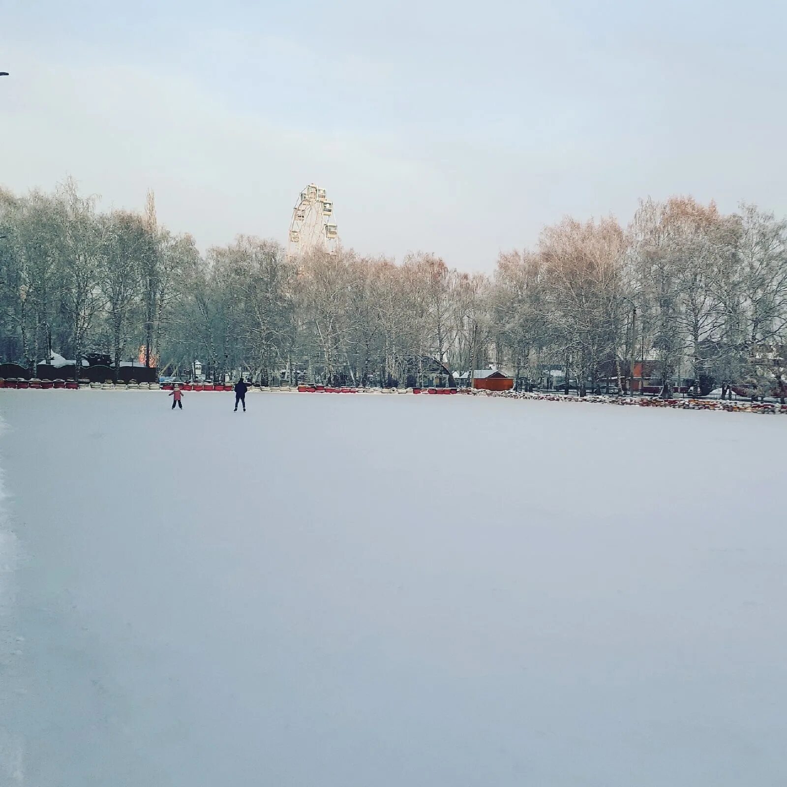 Каток golden way в калининграде. Каток лапландия калининград. Каток калининград парк. Каток калининград парк. Каток калининград.