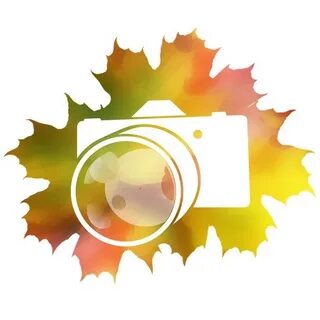 Фотоквест в поисках герба
