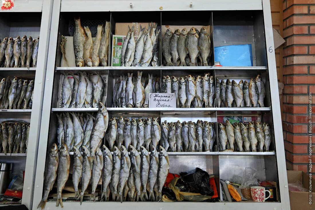 Рынок «Селенские Исады». Рыбный рынок в Астрахани. Селенские Исады Астрахань. Вобла Астрахань. Купить рыбу в оренбурге