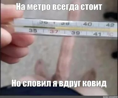 Температура 40 в год
