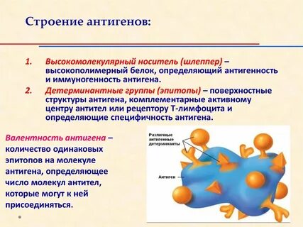Носитель активности
