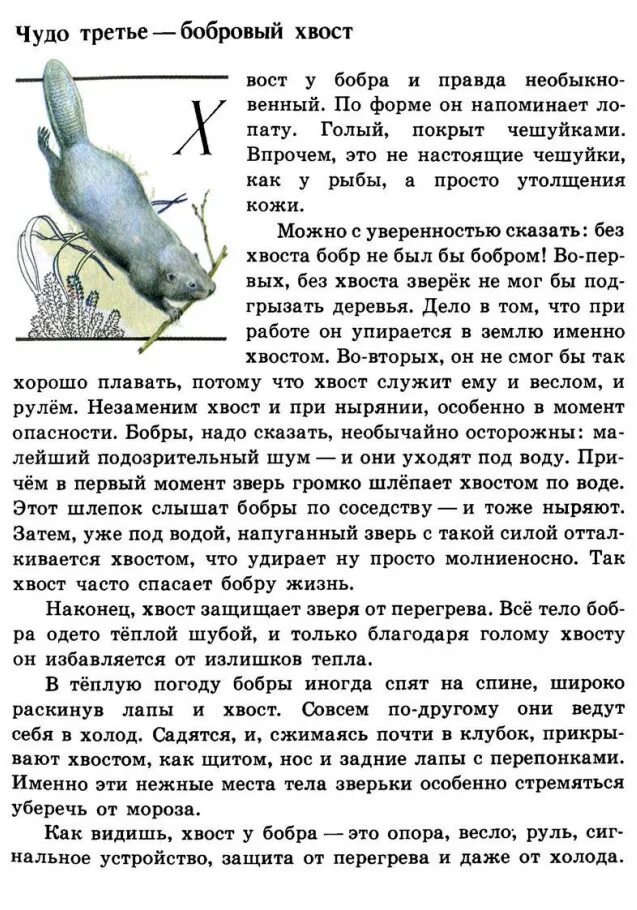 Николас одленд книги. Бобры читать. Зеленые страницы бобр. Бобры читать. Зелёные страницы бобры 4 класс окружающий.