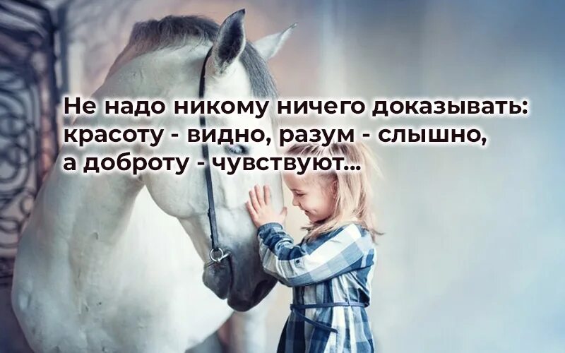 Месте не нужно ничего. Не надо ничего доказывать. Доброту чувствуешь. Не надо ничего доказывать красоту. Не надо ничего доказывать красоту видно разум.