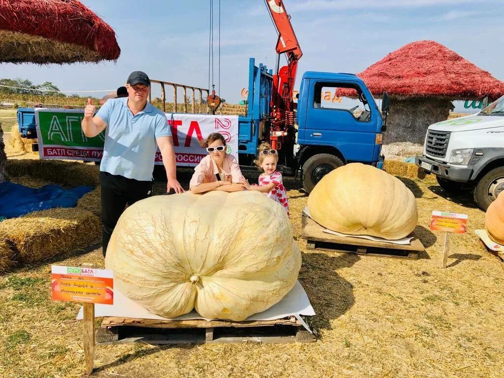 Самая большая тыква весит. Самая большая тыква в России 3 место. Тыква Атлантик гигант» «сахарный гигант» «Атлант». Самая большая тыква в мире книга рекордов. Наш сосед вырастил огромную тыкву