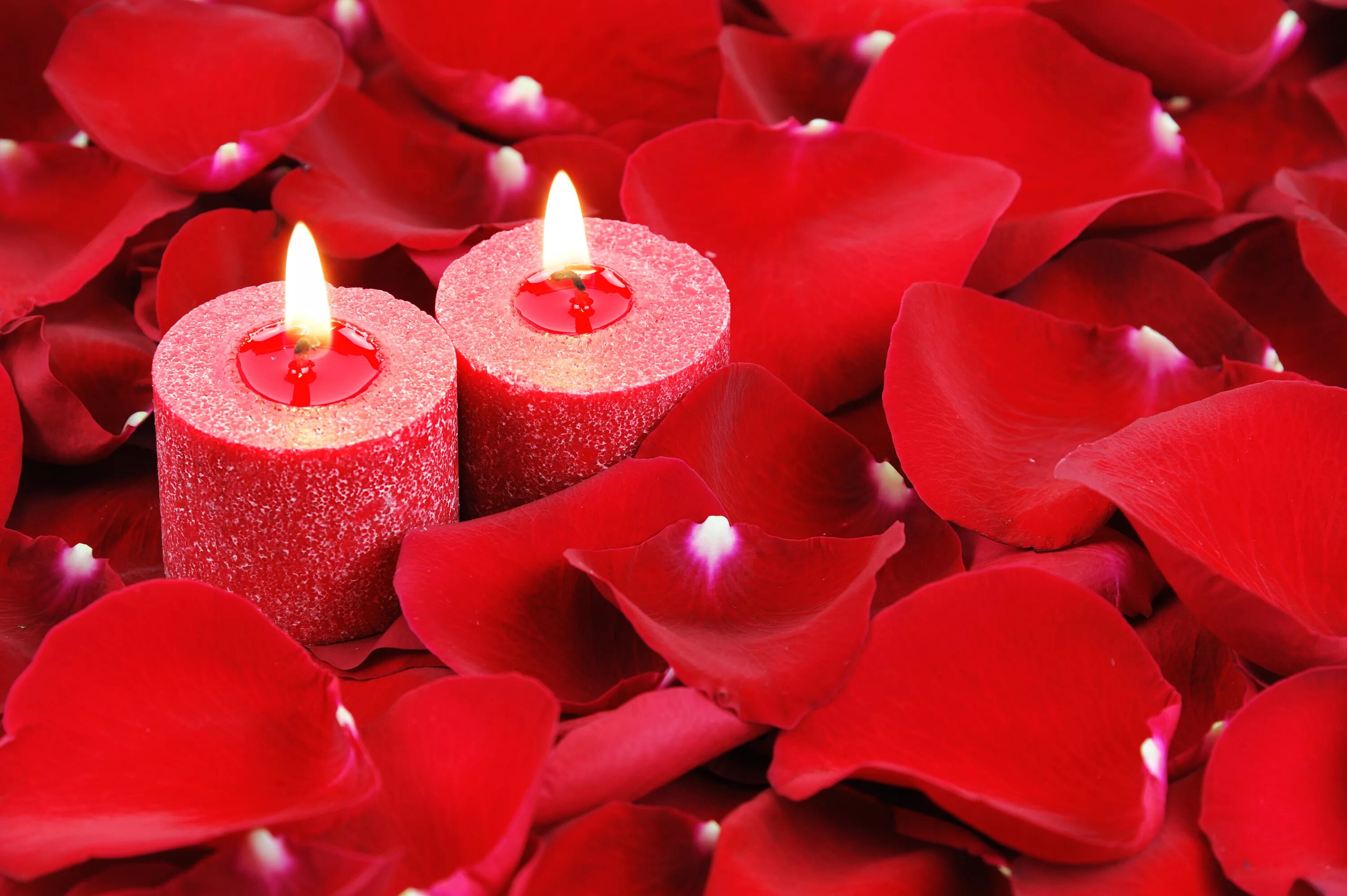 Красивые свечи. Красная свеча. Романтические цветы. Цветы и свечи.