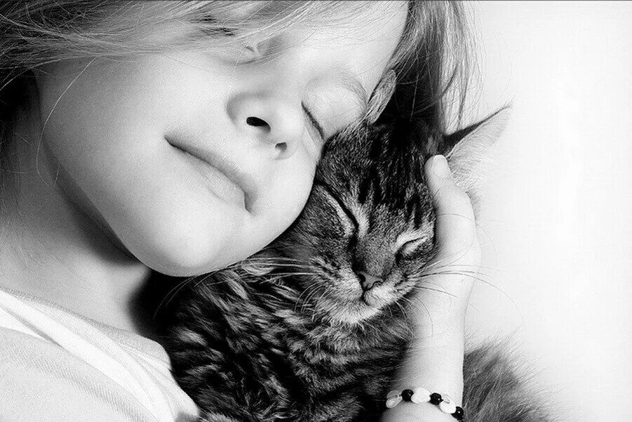 Кот не любит детей. Девочка с котятами. Нежность кошки к человеку. Для детей. Животные. Кошки лучшие друзья человека.