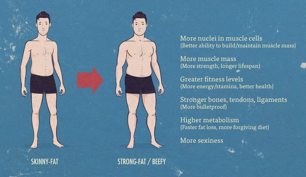 Скинни фэт. Телосложение скинни фэт у мужчин. Тренировки для фигуры скинни фэт. Скинни фэт что это