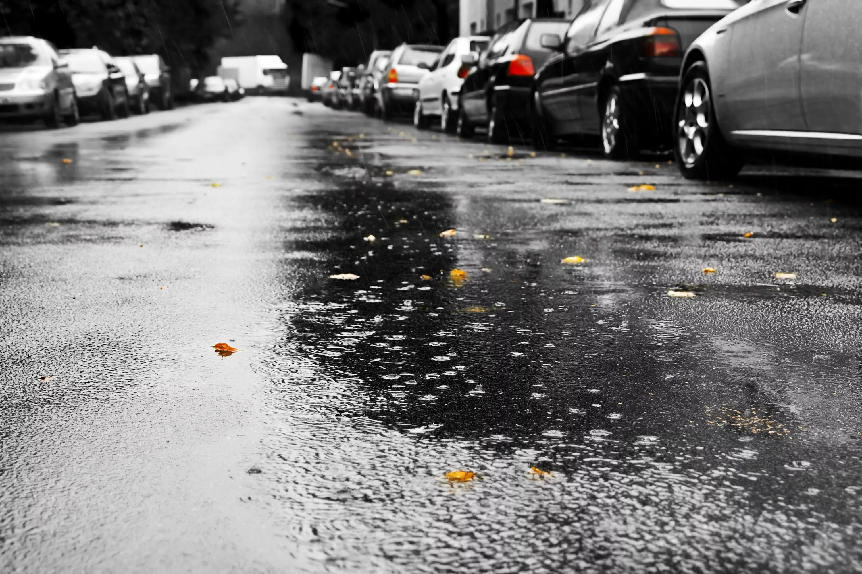Мокрый асфальт. Машина в дождь на асфальте. Асфальт после дождя. Мокрый асфальт дождь.