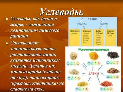 Целлюлоза это белок