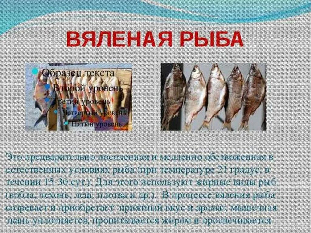 Вяленая рыба. Вяление рыбы. Требования к качеству сушеной рыбы. Презентация рыбной продукции.