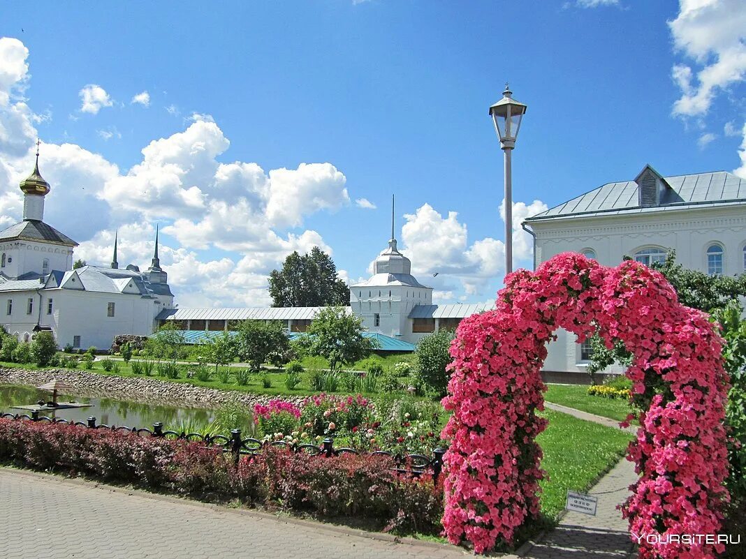 Цветы под ярославлем. Камелия цветы ярославль. Цветы под ярославлем. Цветы ленинградский проспект. Цветочная сеть.