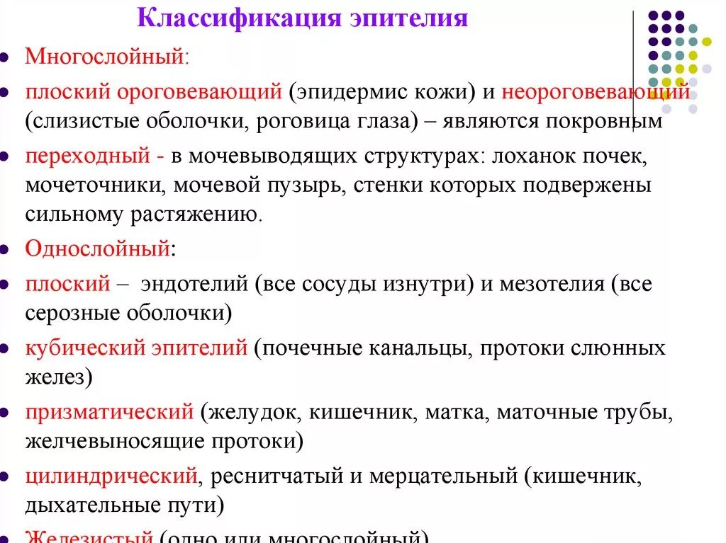 Эпителиальное строение функции. Классификация эпителиальной ткани. Классификация эпителиальной ткани таблица. Классификация эпителиальной ткани схема. Классификация эпителий ткани.