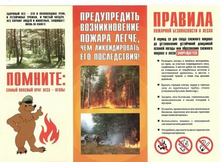 Листовки в лесу