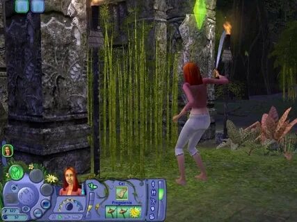 The castaway story