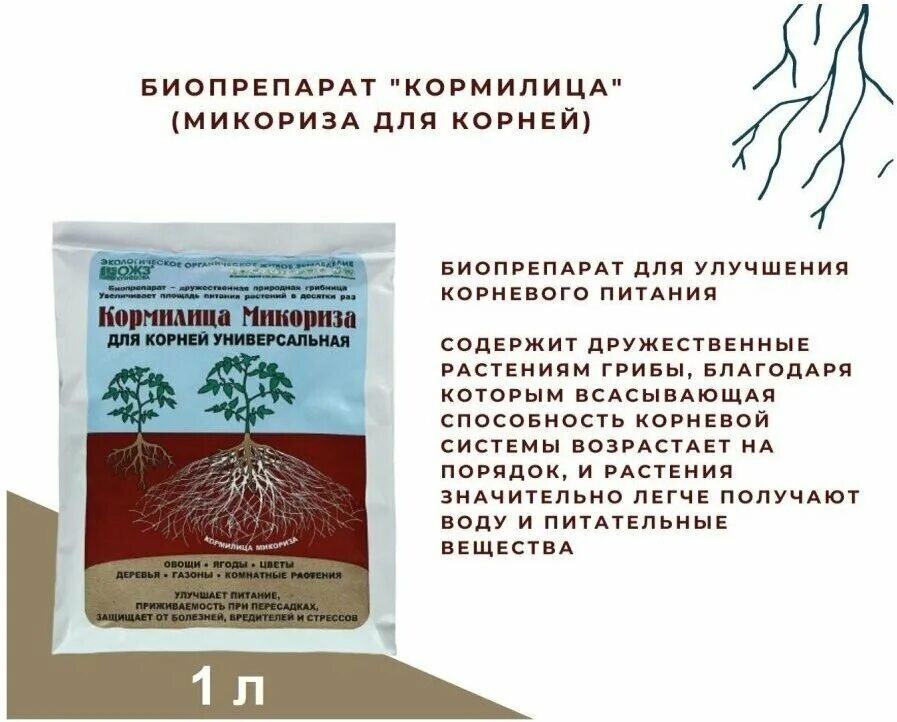 микориза ожз кузнецова. кормилица микориза отзывы. микориза башинком. кормилица микориза. кормилица микориза.