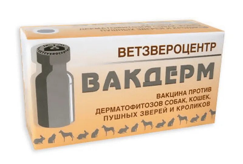 Вакдерм для кошек. Вакдерм (флак) (10 доз/уп.). вакцина вакдерм. вакдерм для собак. вакдерм вакцинация.