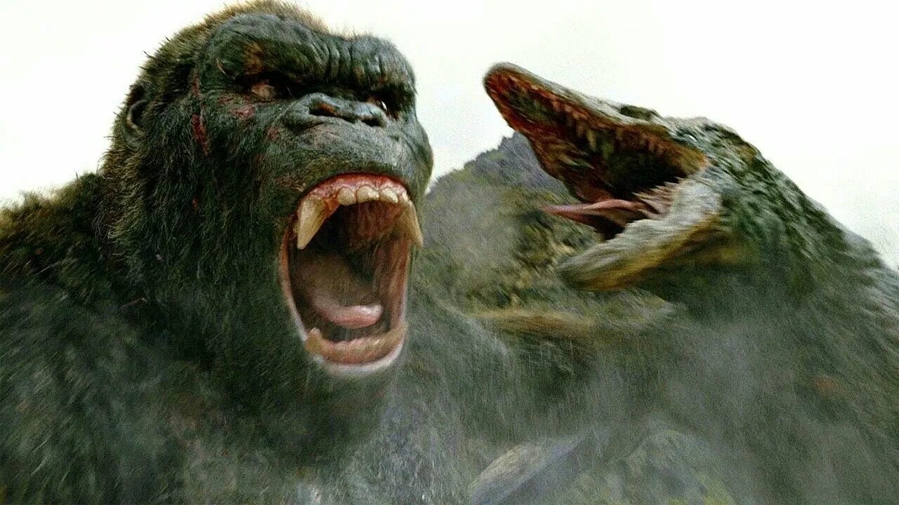 Kong skull island 2017. Конг остров черепа фильм 2017 черепозавр. конг остров черепа черепозавр. конг остров черепа против черепозавра. конг остров черепа черепозавр против годзилла.