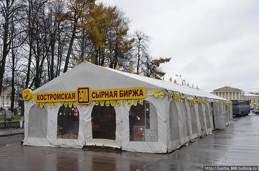 Сырная биржа кострома фото. Сырная биржа кострома. Сырная биржа кострома фото. Сырная биржа кострома. Костромская сырная биржа ассортимент.