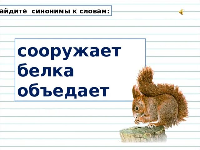 Синонимы к слову белка. Белочка рифма. Синоним к слову белки. Рифма к слову Белочка.